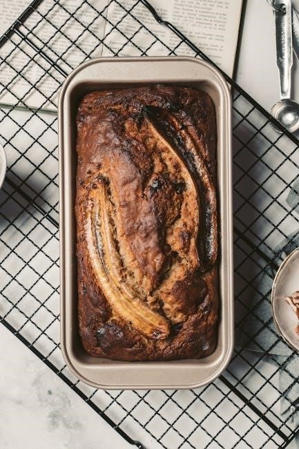 oster bread machine 5838 user manual